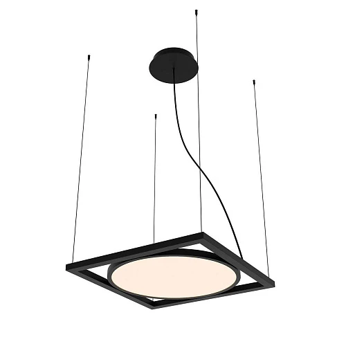 Подвесной светодиодный светильник Favourite Pany 4637-1P