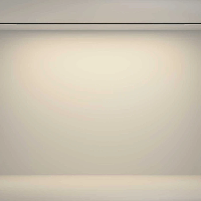 Трековый светильник Maytoni Technical TR180-1-24WTW-B