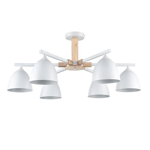 Потолочная люстра Lumion Moderni Colange 8095/6C