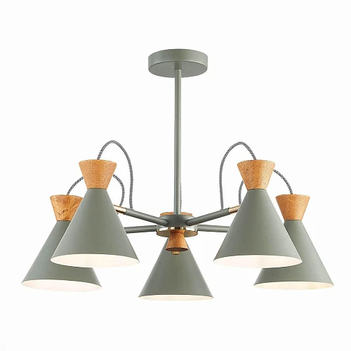 Потолочная люстра Evoluce Modica SLE125112-05