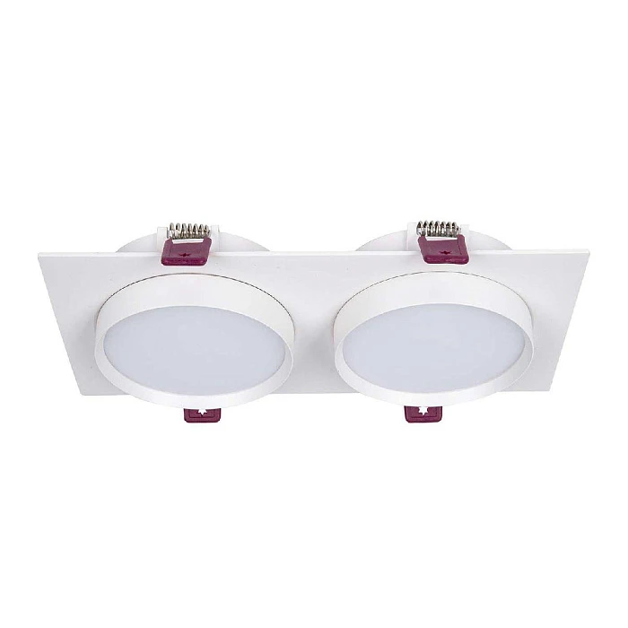 Встраиваемый светильник Favourite 4649-2C