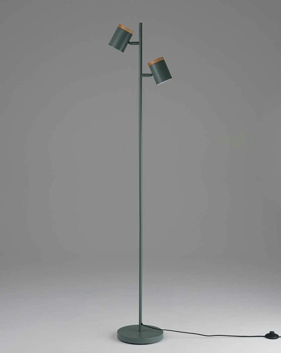 Торшер Moderli Asheswood V11290-2F