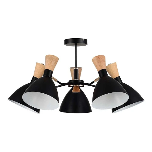 Потолочная люстра Evoluce Vista SLE1256-402-05