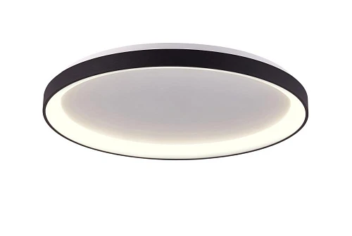 Потолочный светильник Milosh tendence 0876CL-30BK