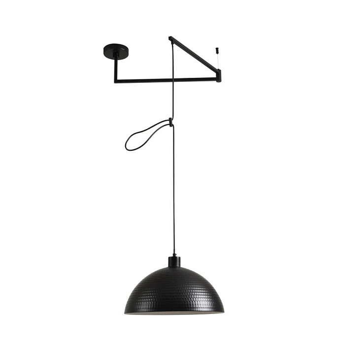 Подвесной светильник Lumion Armina Moderni 8321/1C