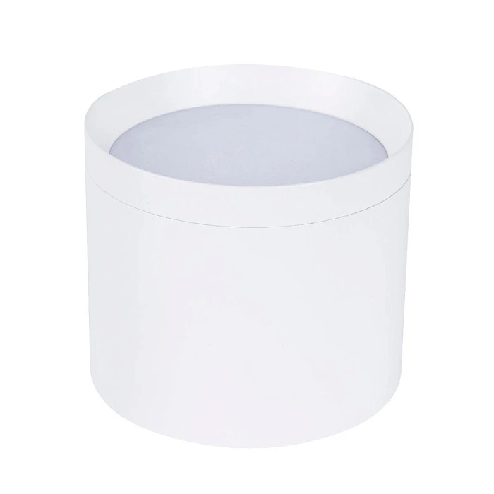 Накладной светильник Favourite 4708-1C