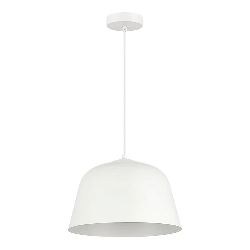 Подвесной светильник Evoluce SLE1805-503-01