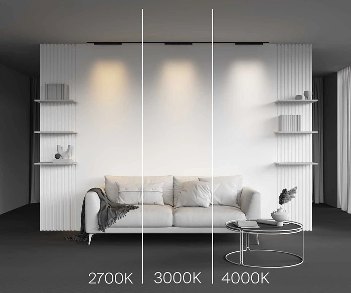 Трековый светильник Maytoni Technical Points TR193-1-20W2.7K-M-B