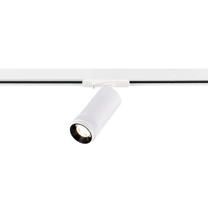 Трековый светильник ST Luce ST385.536.10