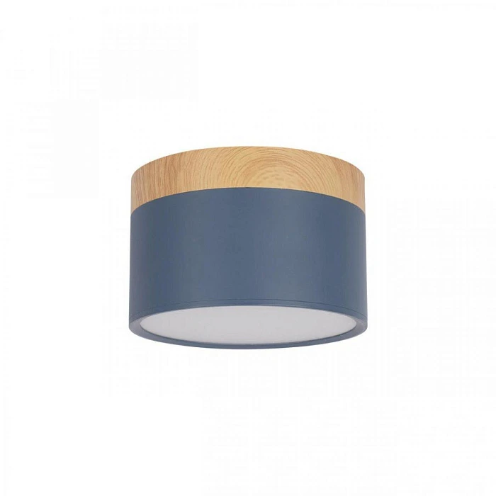 Накладной светодиодный светильник Loft IT Grape 10162 Blue