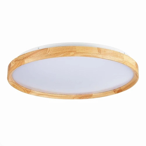 Потолочный сетодиодный светильник Evoluce Delia SLE201382-01