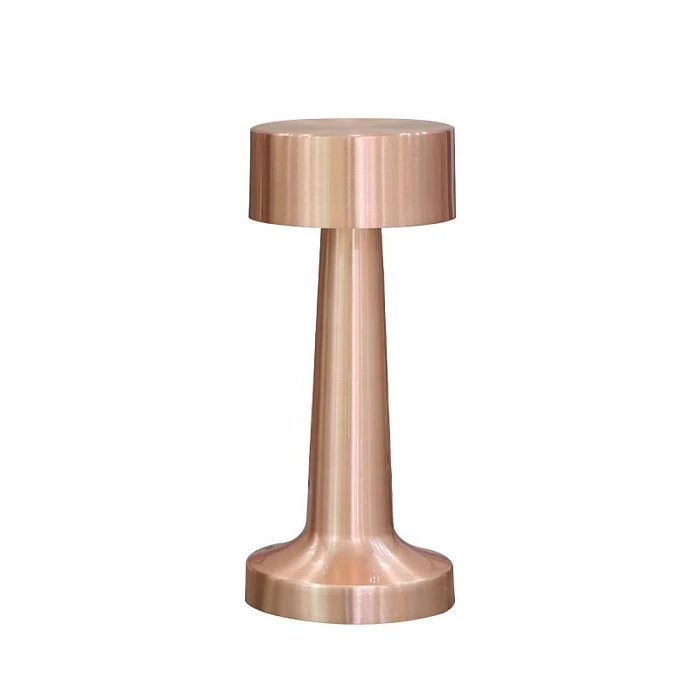 Настольная лампа Aployt Perrayn APL.671.04.01