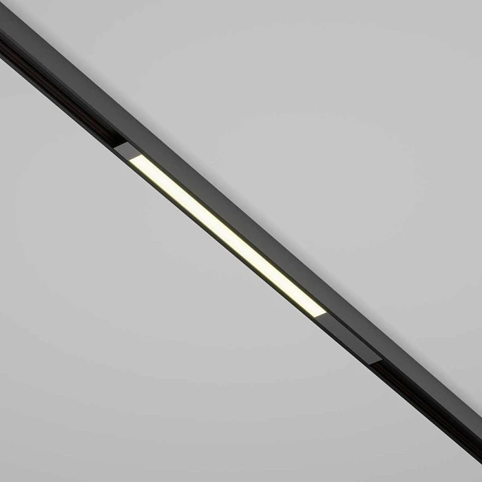 Трековый светильник Maytoni Technical TR231-2-10W4K-B