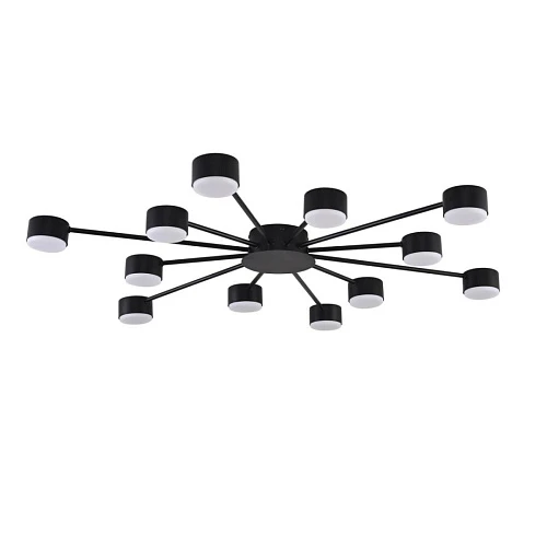 Люстра Lumion COMFI 8344/12C