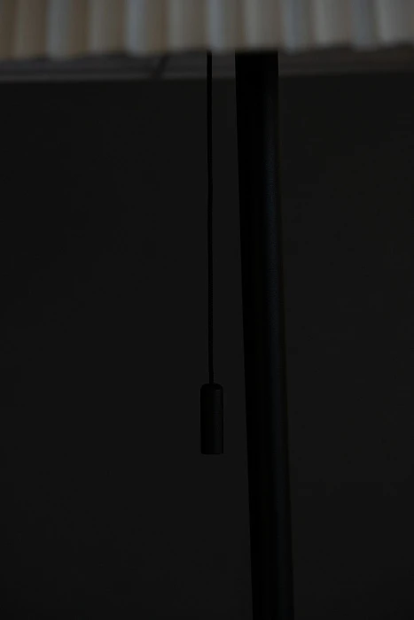 Торшер Milosh tendence 0910FL-1BK