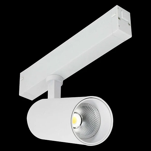 Трековый светильник ST LUCE SKYLINE 220 ST660.596.20H