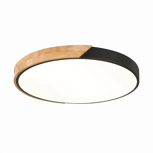 Потолочный светодиодный светильник Evoluce Festa SLE200942-01