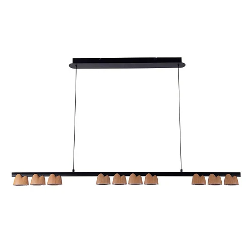 Подвесная светодиодная люстра Favourite Interline 4266-10P