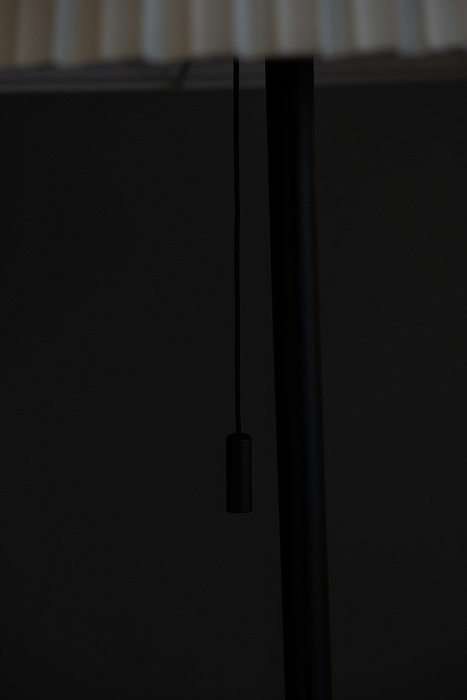 Торшер Milosh tendence 0910FL-1BK