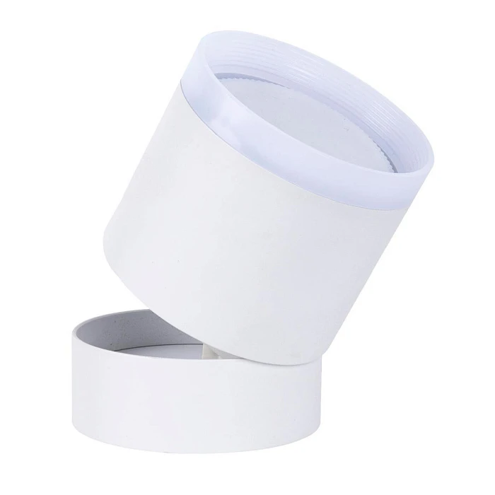 Накладной светильник Favourite 4709-1C