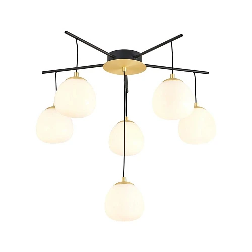 Потолочная люстра Favourite Paramount 3047-6P