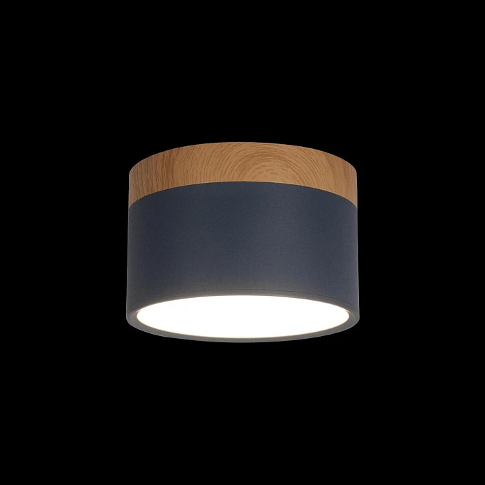 Накладной светодиодный светильник Loft IT Grape 10162 Blue