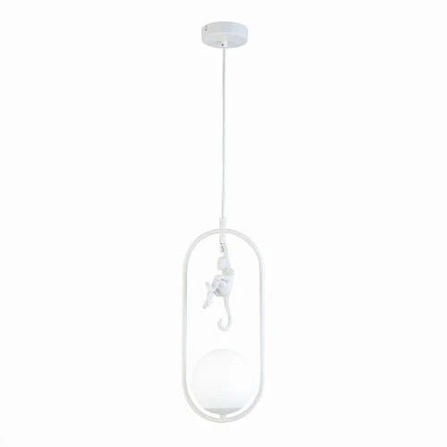 Подвесной светильник Evoluce Tenato SLE115123-01