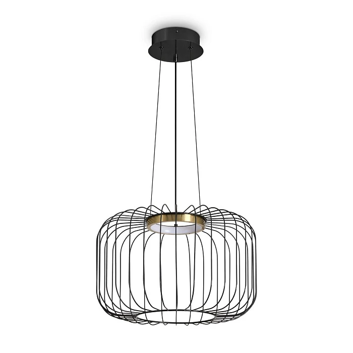 Подвесной светодиодный светильник Freya Citrus FR5398PL-L8B