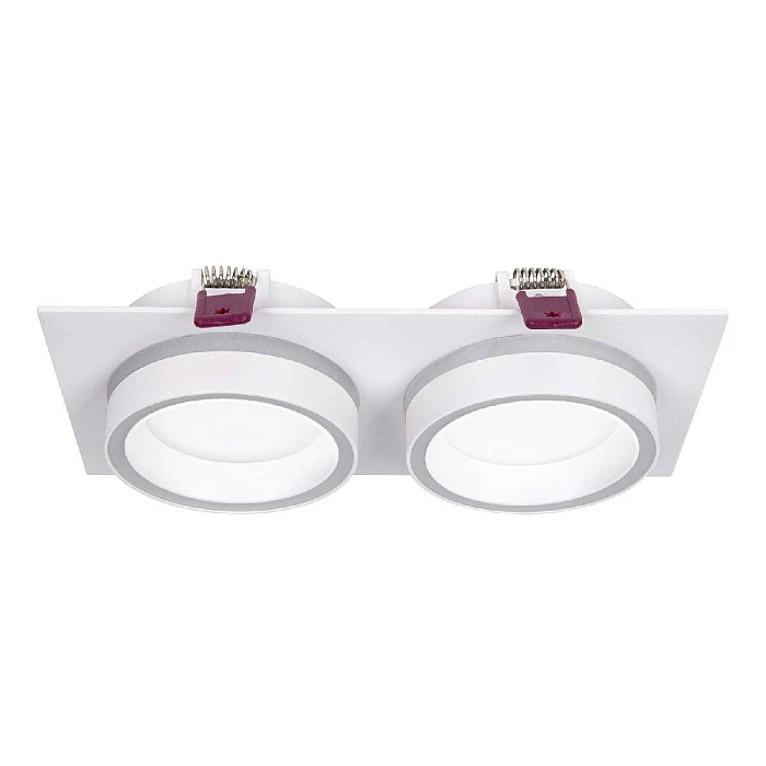 Встраиваемый светильник Favourite 4650-2C