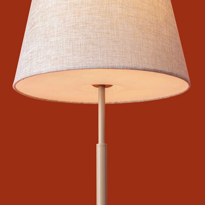 Настольная лампа Freya FR2057TL-01BG