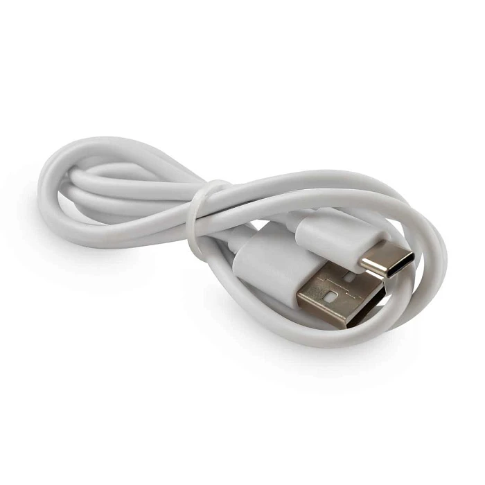 Настольная аккумуляторная лампа Freya LED Mushroom FR6109TL-L4W