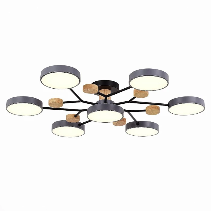 Потолочная светодиодная люстра Evoluce FAEMA SLE6006-702-07