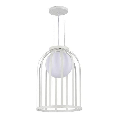 Подвесной светильник ST Luce Nordic SL6129.503.01