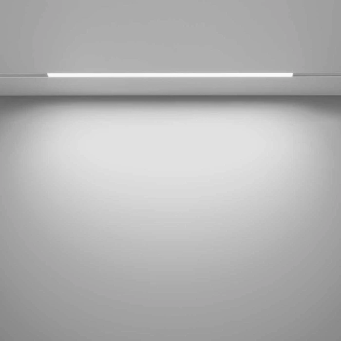 Трековый светодиодный светильник Maytoni Technical Basis TR030-2-24W3K-W