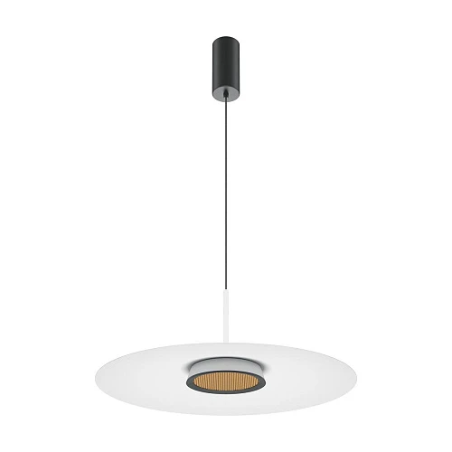 Подвесной светодиодный светильник Maytoni El MOD041PL-L15W3K1