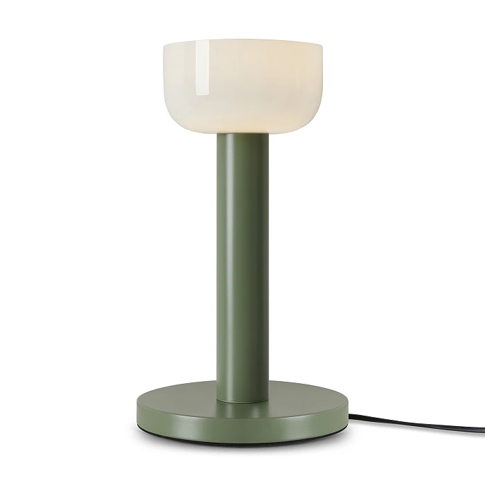 Настольный светильник Maytoni FR6185TL-L5GN