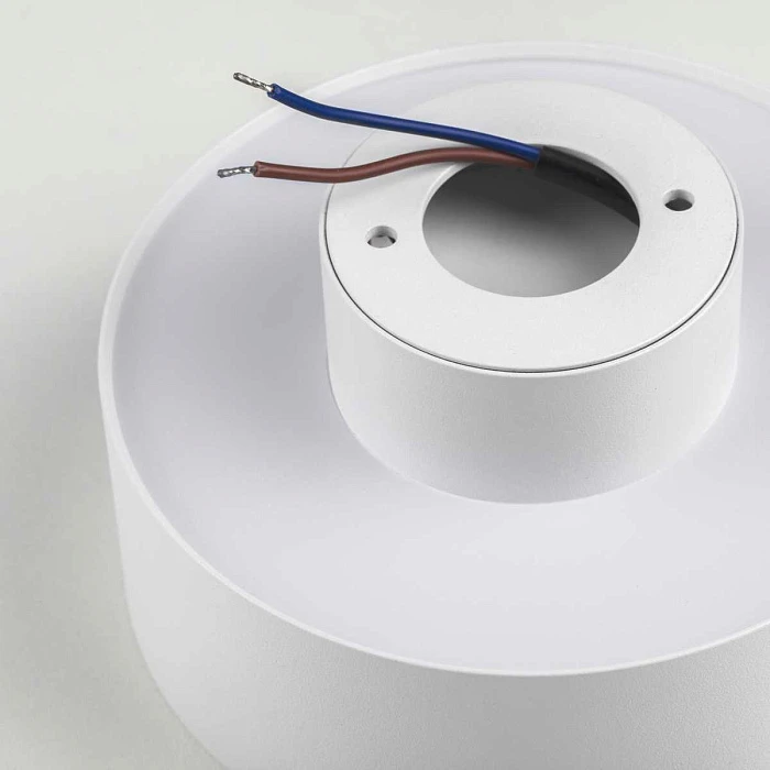 Светильник накладной Lightstar Acuto 215936