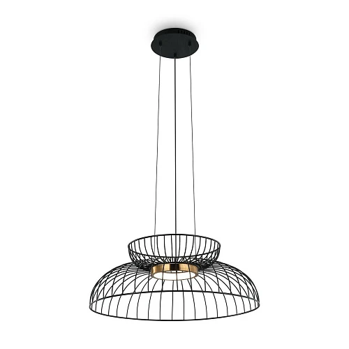 Подвесной светодиодный светильник Freya Citrus FR5398PL-L6B