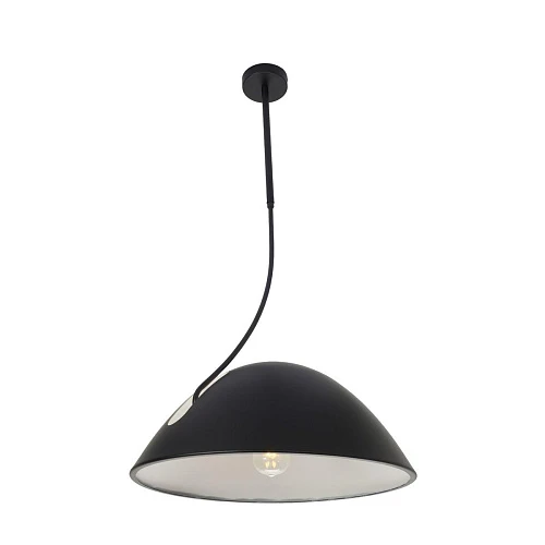 Подвесной светильник Zortes Korkee ZRS.1802.50