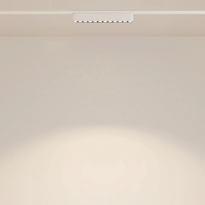 Трековый светодиодный светильник Maytoni Technical Radity Points TR082-1-12W3K-M-W