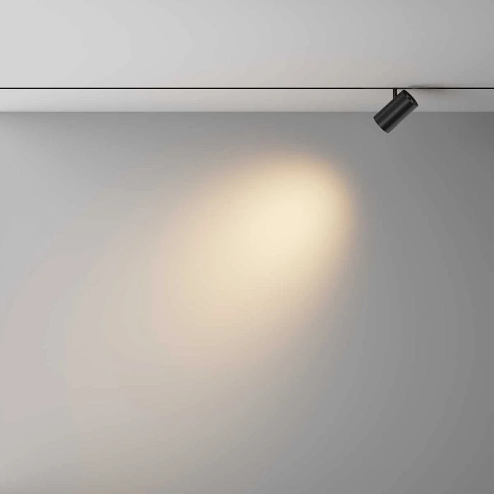 Трековый светильник Maytoni Technical EXILITY X Focus Led TR243-4-12WTW-DD2-B