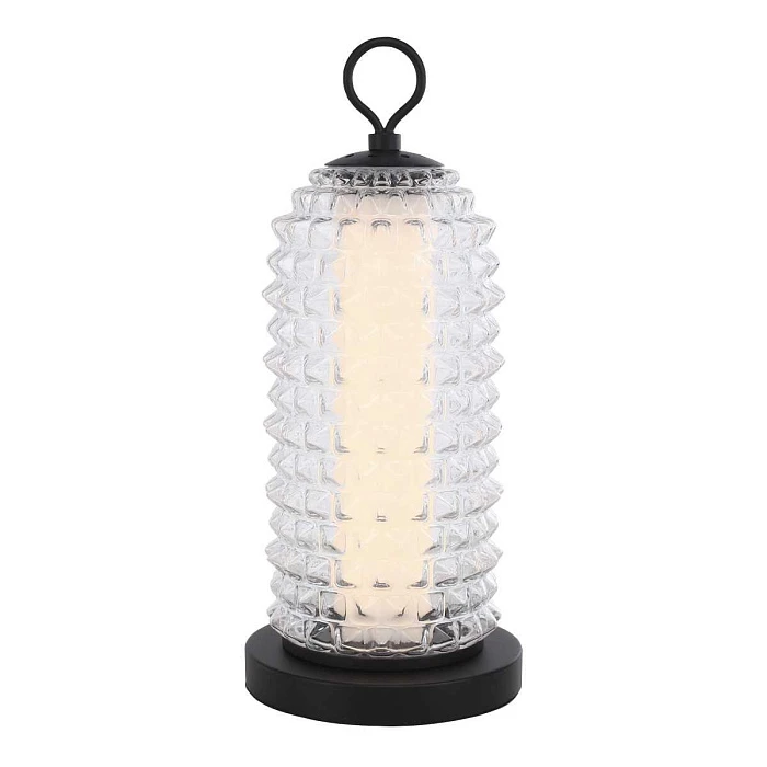 Настольная лампа ST Luce SAGUARO SL6144.404.01