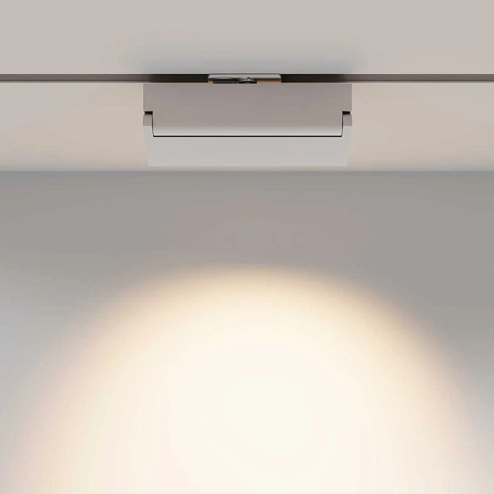Трековый светильник Maytoni Technical TR223-1-12WCCT-W-W