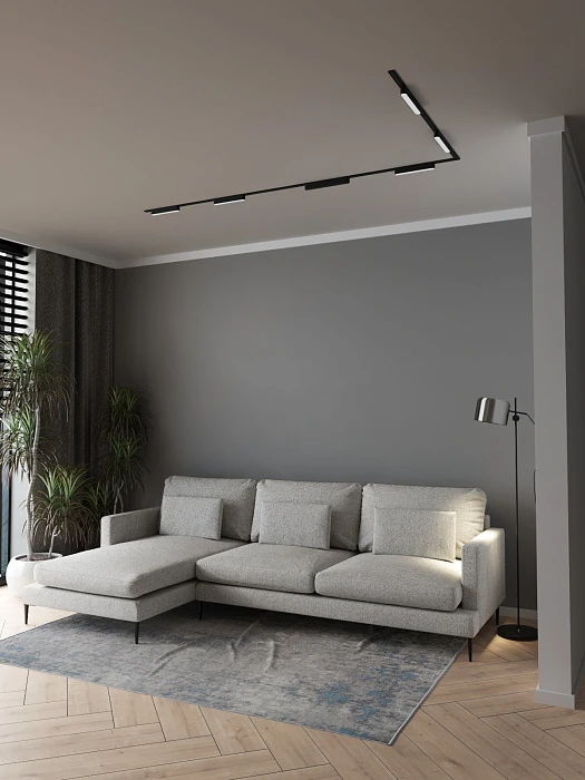 Светильник трековый ZZOK NRM12-BK-S