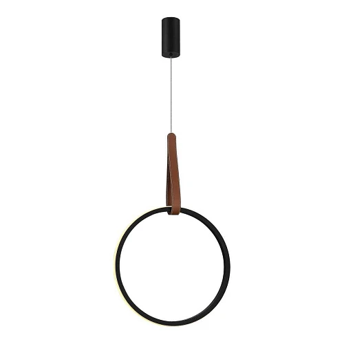 Подвесной светильник ST Luce SL6131.403.20