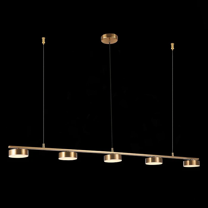 Подвесная светодиодная люстра ST Luce Pances SL6000.303.05